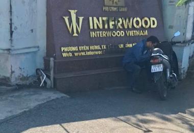 LÊN DECAL DÁN KÍNH VÀ RÈM CẦU VỒNG CHO CÔNG TY INTERWOOD